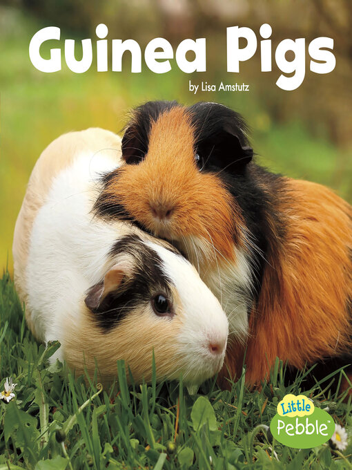Title details for Guinea Pigs by Lisa J. Amstutz - Wait list